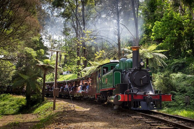 Puffing Billy Steam Train and Penguins Wildlife Tour - Lakeside Visitor Centre: A Short Stretch With Real Facilities