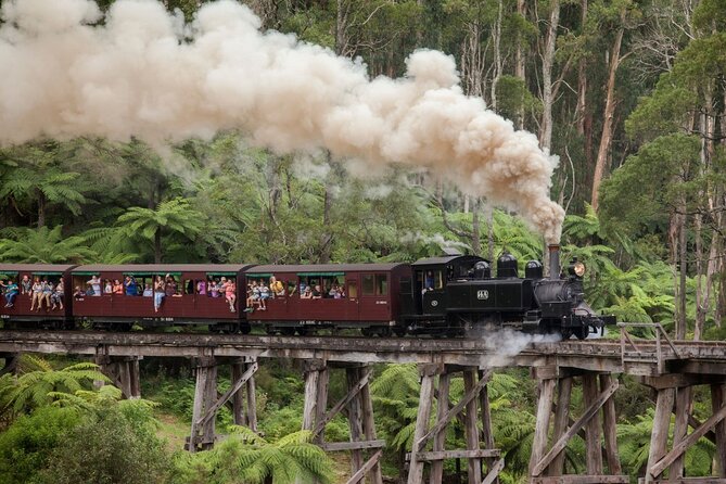 Puffing Billy Steam Train Experience - Why Puffing Billy Works So Well for a Melbourne Morning