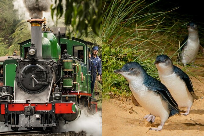 Puffing Billy Tour and Penguin Parade from Melbourne - Key Points to Know Before You Go