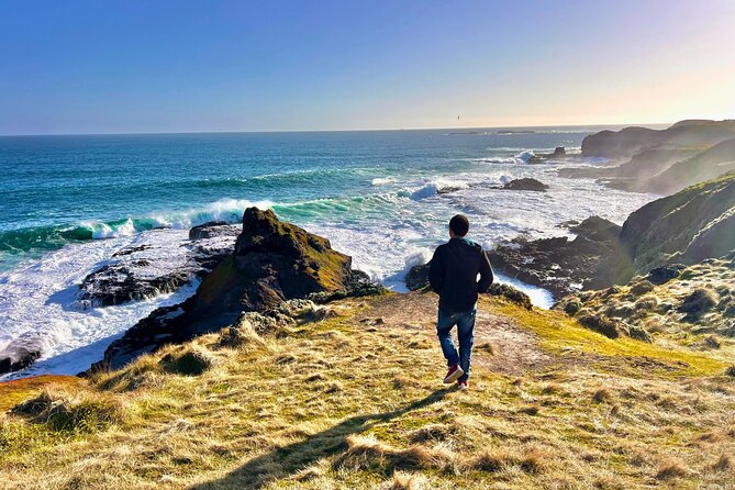 Puffing Billy Tour and Penguin Parade from Melbourne - The Penguin Parade Rules, Cold Waits, and What You’ll Actually See
