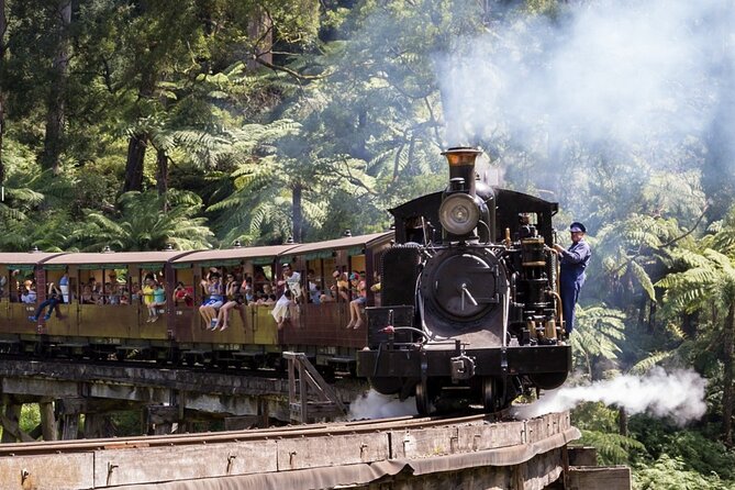 Puffing Billy Train and Phillip Island Penguin Parade Day Tour - The Day’s Rhythm From Melbourne to Phillip Island
