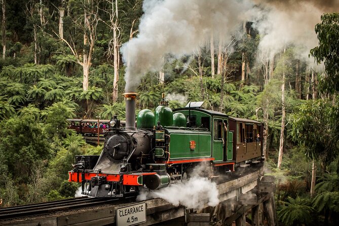 Puffing Billy Train and Phillip Island Penguin Parade Day Tour - Maru Koala and Animal Park: The Add-On That Changes the Price