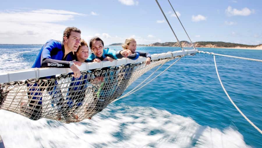 Queenscliff Harbour: 3.5hr Seal & Dolphin Snorkelling Tour - Chinaman’s Hat seal swim: the real wildlife “wow” moment