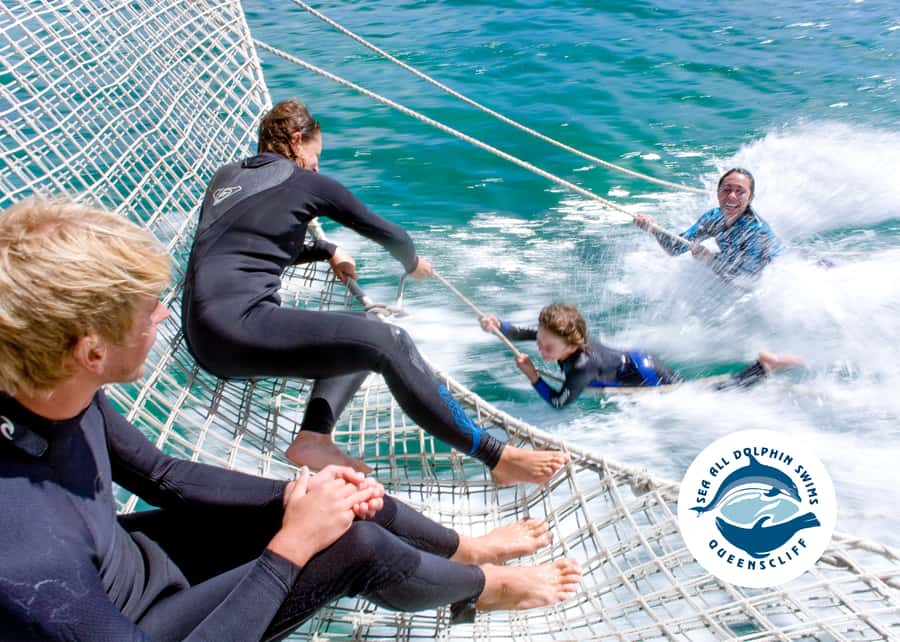 Queenscliff Harbour: 3.5hr Seal & Dolphin Snorkelling Tour - Dolphin searching: how to manage expectations without losing the magic