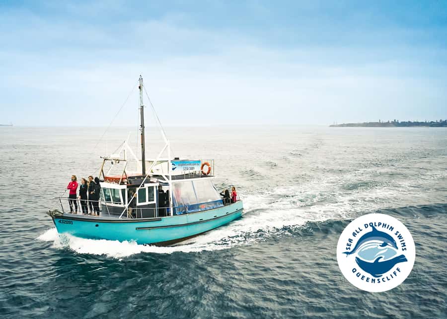 Queenscliff Harbour: 3.5hr Seal & Dolphin Snorkelling Tour - What’s included vs. what to bring (and the small things that prevent misery)