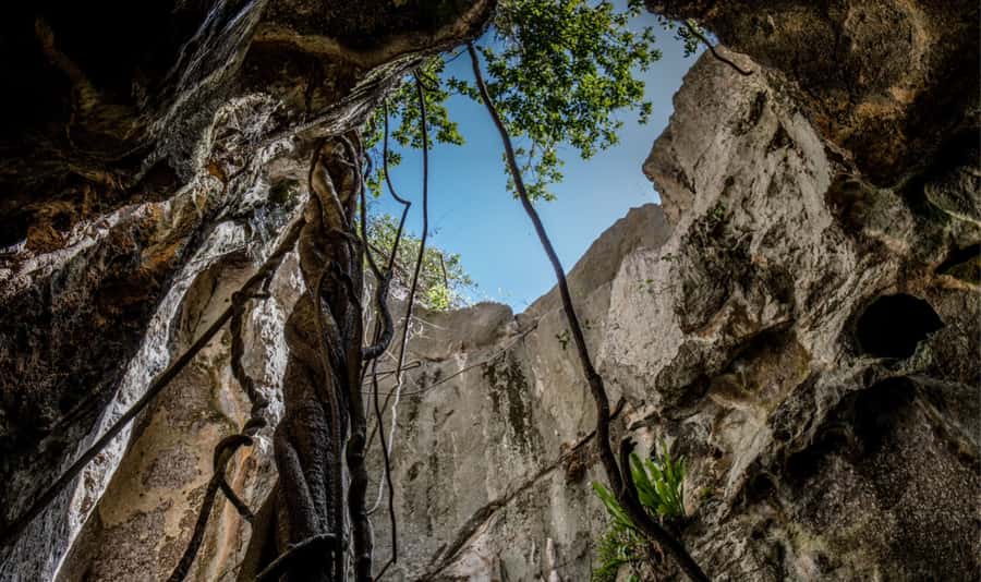 Queensland: 90 Minute Capricorn Caves Explorer Tour - A 90-Minute Capricorn Caves route that feels genuinely off the beaten track
