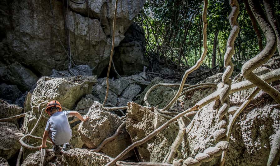 Queensland: 90 Minute Capricorn Caves Explorer Tour - Meeting at the Capricorn Caves kiosk: start simple, gear up fast