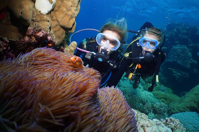 Quicksilver Dive 4 Day PADI Learn to Dive Course - Key highlights worth your attention