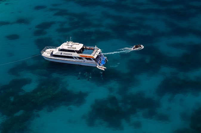 Quicksilver Dive 4 Day PADI Learn to Dive Course - Instructors and the small-group advantage (and why it shows up in reviews)