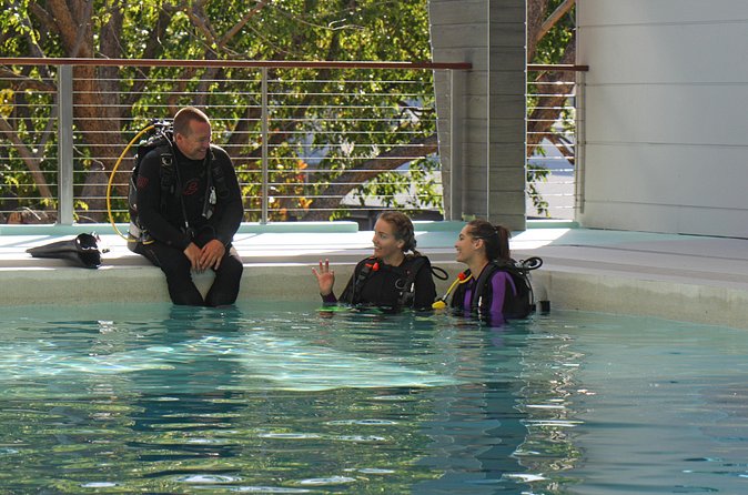 Quicksilver Dive 4 Day PADI Learn to Dive Course - Price and value: what the listed cost means and what to double-check