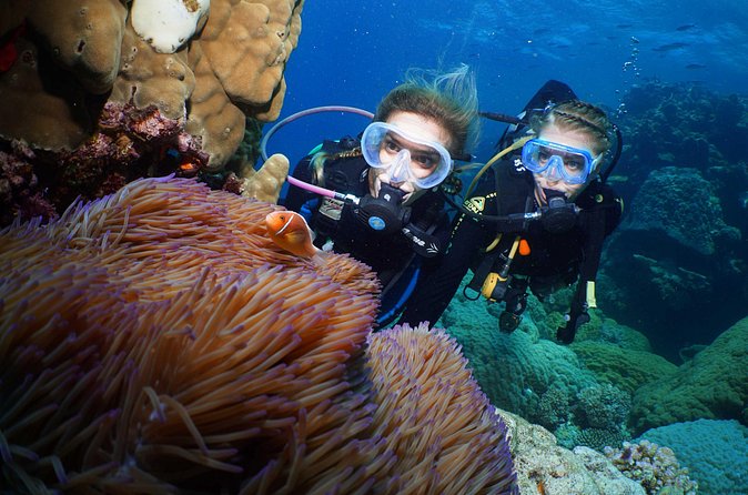 Quicksilver Dive 4 Day PADI Learn to Dive Course - Fitness, medical declaration, and the scuba readiness checks
