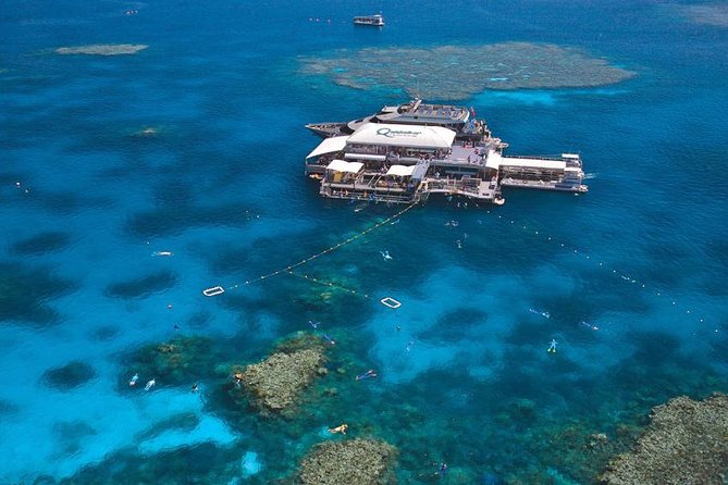 Quicksilver Outer Great Barrier Reef Snorkel Cruise from Palm Cove - Key highlights you’ll care about