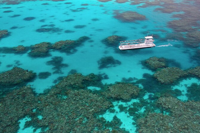 Quicksilver Outer Great Barrier Reef Snorkel Cruise from Palm Cove - Underwater observatory and semi-submersible coral viewing