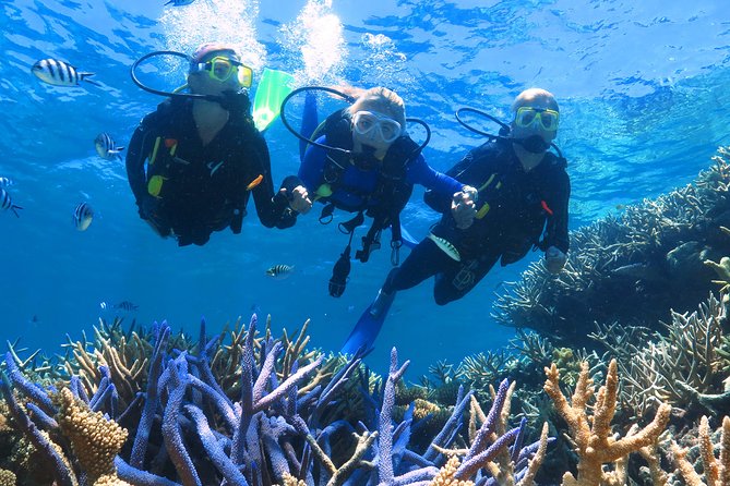 Quicksilver Outer Great Barrier Reef Snorkel Cruise from Palm Cove - Boat comfort, sea-sickness reality, and how to plan your day