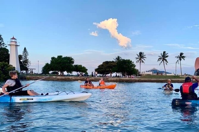 Raby Bay Wildlife Kayak Tour - Why this kayak trip feels easy (and not like work)