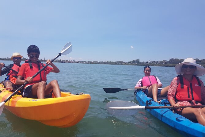Raby Bay Wildlife Kayak Tour - Pace, comfort, and who this suits best