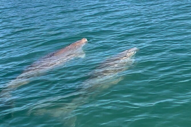 Raby Bay Wildlife Kayak Tour - Getting underway at Cleveland (and what to expect)