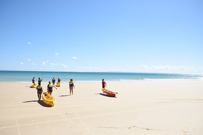 Rainbow Beach: Dolphin & Wildlife Ocean Kayak & Beach 4WD Tour - The 4WD beach ride through Coloured Sands country