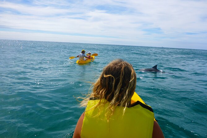 Rainbow Beach: Dolphin & Wildlife Ocean Kayak & Beach 4WD Tour - Price and value: is $99.70 worth it?