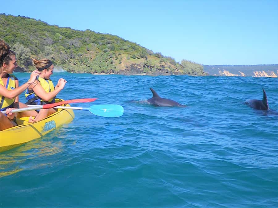 Rainbow Beach: Kayaking with Dolphins and Beach 4WD Tour - The 4WD-to-kayak flow that keeps the tour moving