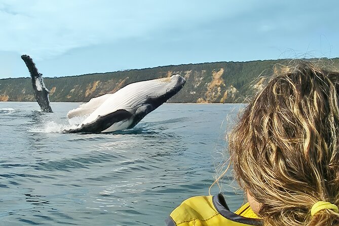 Rainbow Beach: Whale Watching Ocean Kayak Tour & Beach 4X4 - Key takeaways before you go
