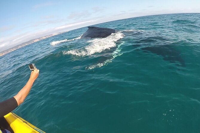 Rainbow Beach: Whale Watching Ocean Kayak Tour & Beach 4X4 - Double Island Point arrival: gear, safety briefing, then your first paddle
