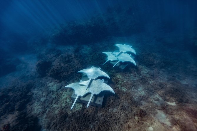 Rayglass Protector - Standard Private Charter - Whitsundays - Boat Comfort and the Ride: Faster Water, Confident Captains