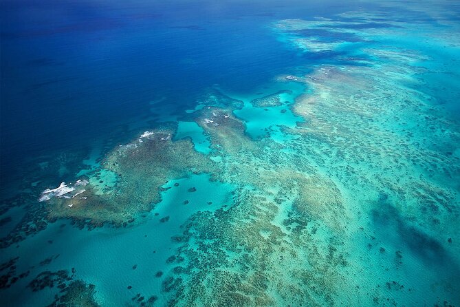 Reef Rainforest Fusion - 45 Minute Reef and Rainforest Flight - Price and Value: Why $412.41 Can Make Sense Here
