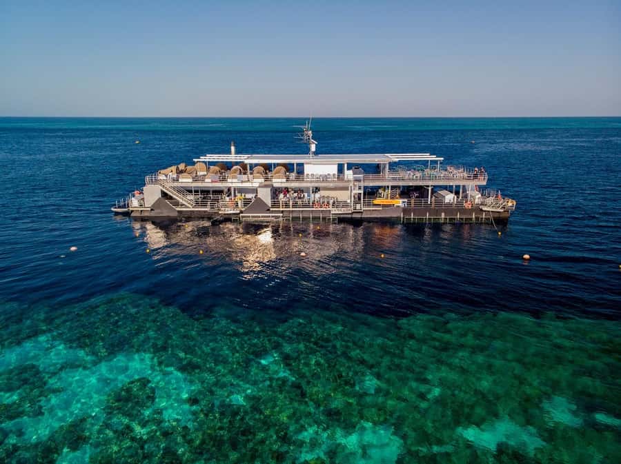 Reef Sleep: 2-Day Great Barrier Reef Pontoon & Gourmet Meals - How the 2 days on Hardy Reef really play out