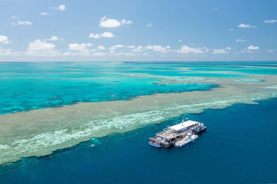 Reef Sleep: 2-Day Great Barrier Reef Pontoon & Gourmet Meals - Sunset sundowner to night stargazing: this is the signature
