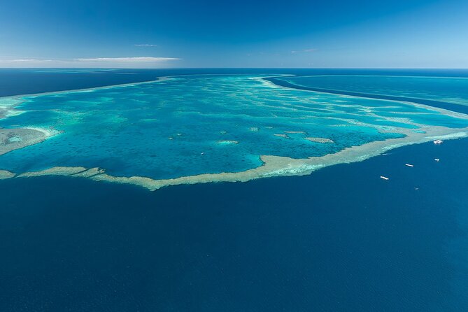 Reef & Whitehaven Spectacular - 60 Minute Helicopter Tour - Timing, group size, and your comfort: what “60 minutes” really means