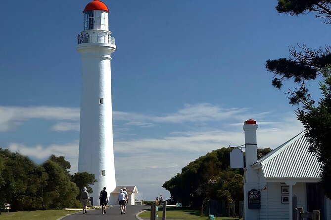 Reimagined Great Ocean Road 1-Day Tour from Melbourne - Apollo Bay: A Real Break for Food and Reset Time