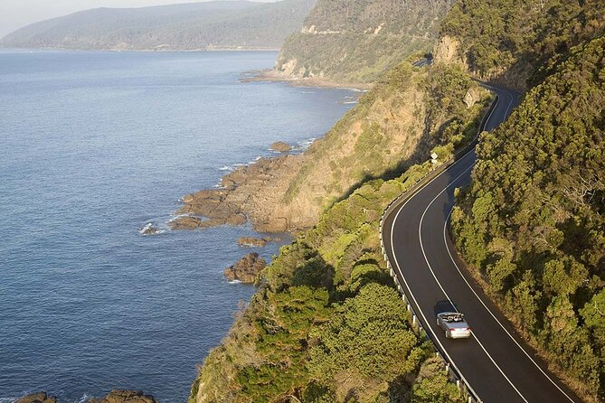 Reimagined Great Ocean Road 1-Day Tour from Melbourne - Lorne and Wye River: Scenic Pass-Through Moments