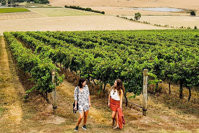 Relaxed Half Day Yarra Valley Wine Tasting Tour from Melbourne - Key things to know before you go