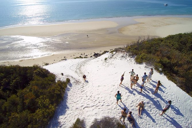 Remote Fraser Island Experience - Price and value: what $185.77 buys you
