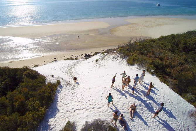 Remote K'gari (Fraser Island) & Whale Experience - Key things worth knowing before you go