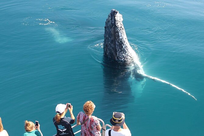 Remote K'gari (Fraser Island) & Whale Experience - Snorkeling gear included, but visibility can vary