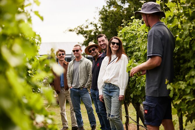 Richmond and Wine Tour - The Pooley Wines stop: Belmont Lodge and cellar-door tastings
