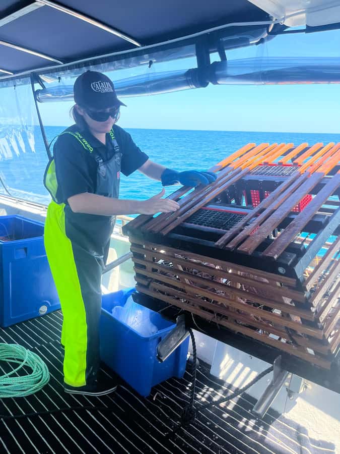 Rockingham: Lobster Catch and Keep Tour with Refreshments - Marine life viewing: learning what you’re looking for