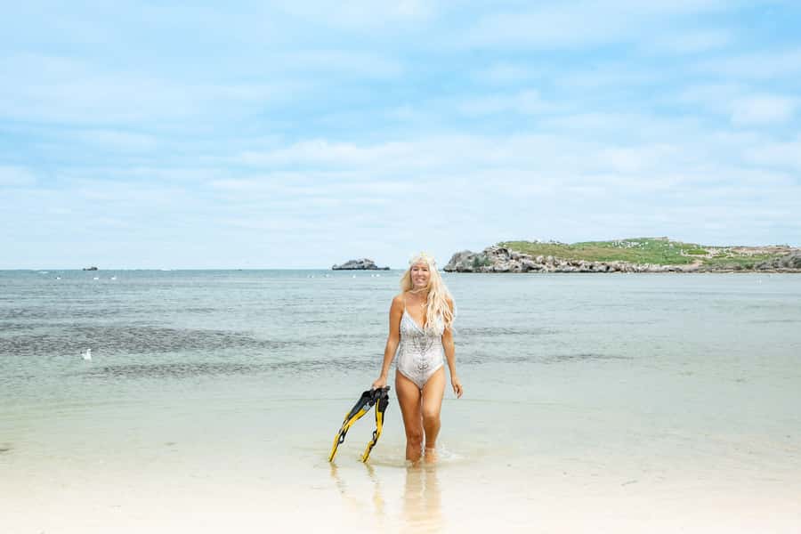 Rockingham: Shoalwater Islands, Dolphins, and Sea Lions Tour - Seal Island and the rare Australian sea lions