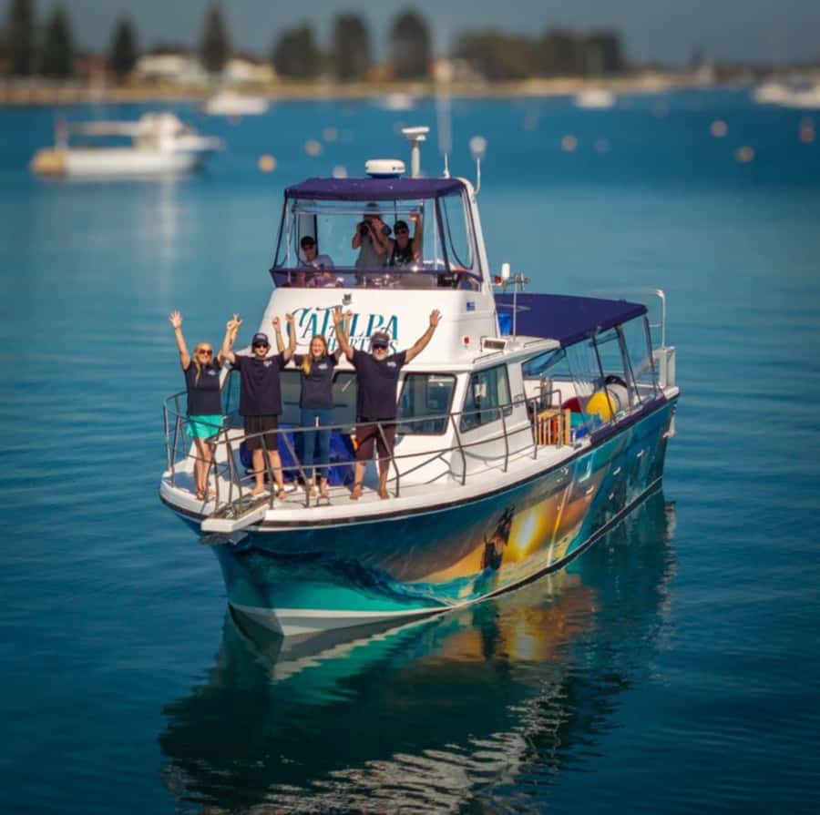 Rockingham: Sunset Cruise - Key highlights you’ll notice right away