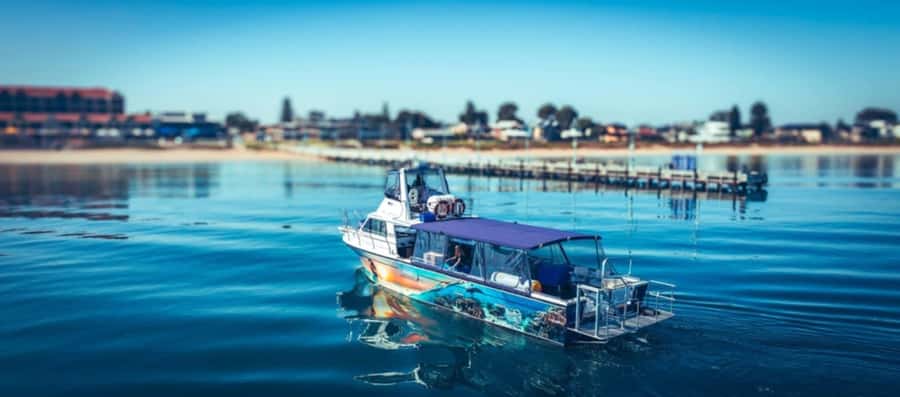 Rockingham: Sunset Cruise - Grazing platters that actually fill you up