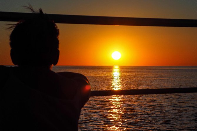 Roebuck Bay Sunset & Snubfin Dolphin Cruise - Key things to know before you go