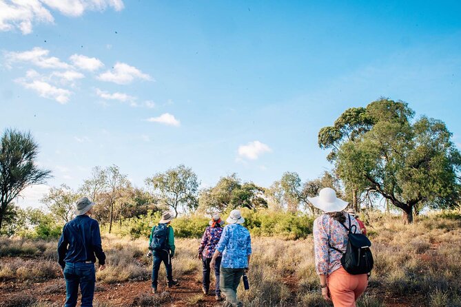 Roma: Landscape and Legacy Day Tour Including Lunch - Massey Downs Homestead Gardens: A Calmer Contrast After Open Country