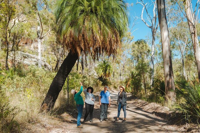 Roma: Lost World Carnarvons (Wallaroo) Day Tour - Stepping off the main road into the Carnarvon Range