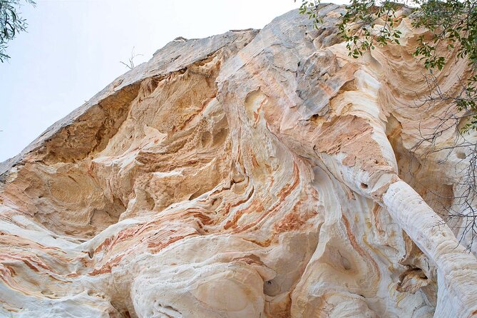 Roma: Lost World Carnarvons (Wallaroo) Day Tour - Date Rock, Cycad Gorge lunch, and dinosaur-plant energy