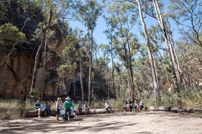 Roma: Lost World Carnarvons (Wallaroo) Day Tour - Rainbow Cave rock art: where the range turns personal