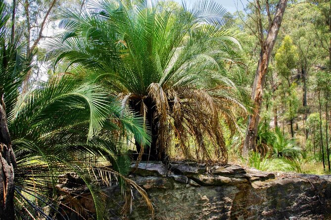 Roma: Lost World Carnarvons (Wallaroo) Day Tour - Wildlife spotting with a headlamp: the fun part that’s also practical