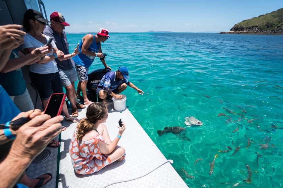 Rosslyn: Great Keppel Island Glass Bottom Boat Tour - Yeppoon to Great Keppel: the ferry part that sets your pace