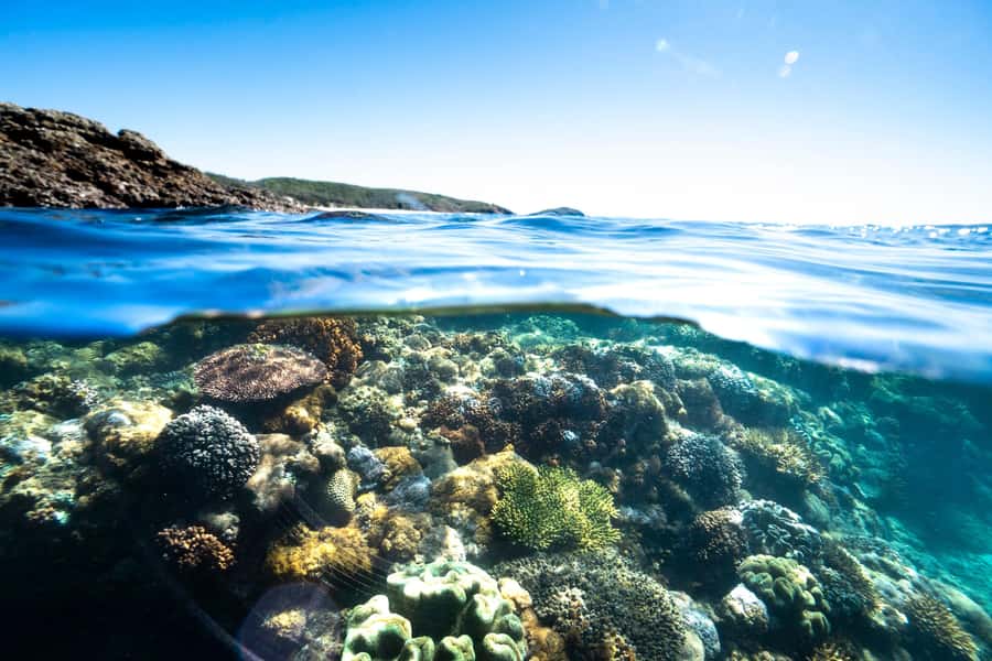 Rosslyn: Great Keppel Island Glass Bottom Boat Tour - Food on the island: plan to eat, or bring your own